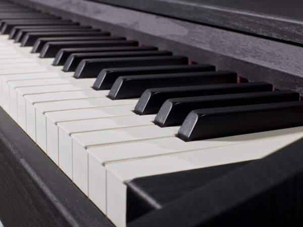 خرید پیانو فویریش اولیا اوو piano Feurich Olya Evo