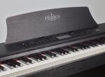 قیمت پیانو فویریش اولیا اوو piano Feurich Olya Evo