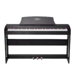 پیانو فویریش اولیا اوو piano Feurich Olya Evo1