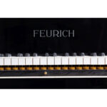 پیانو گرند فویریش F160 داینامیک 1 FEURICH 162 – Dynamic I - Image 3