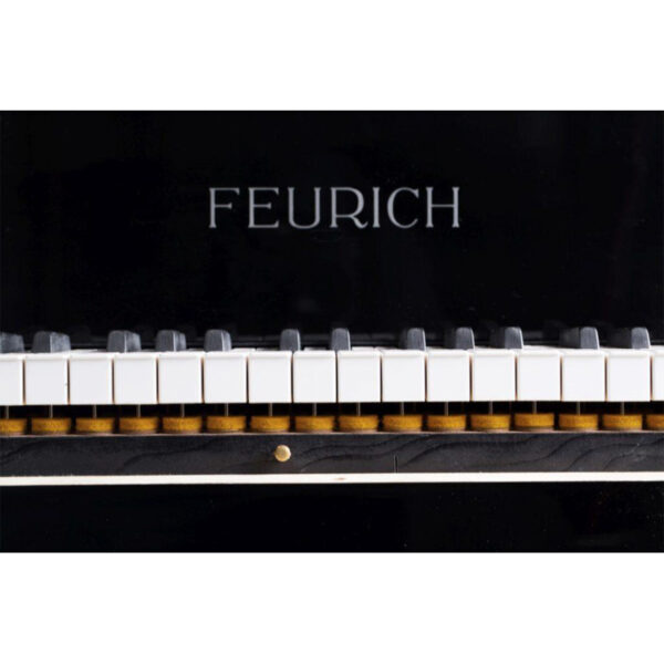 پیانو گرند فویریش F160 داینامیک 1 FEURICH 162 – Dynamic I - Image 3