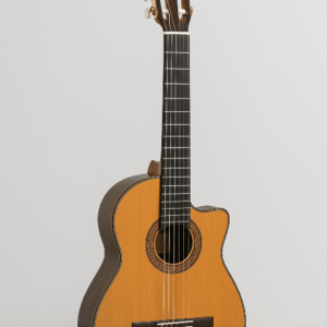 گیتار 5p سی دبلیو الحمبرا - GUITAR ALHAMBRA 5P CW