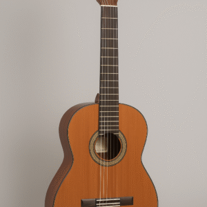گیتار آلمانزا 401 guitar almansa 401