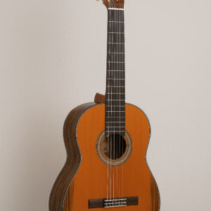 گیتار آلمانزا 424 زیریکوت guitar almansa 424 ziricote