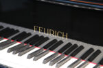 پیانو گرند فویریش Feurich 161 Professional I 1