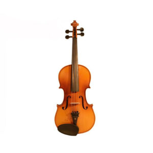 نمای روبرو ویولن آکوستیک Violin acoustic TF 142