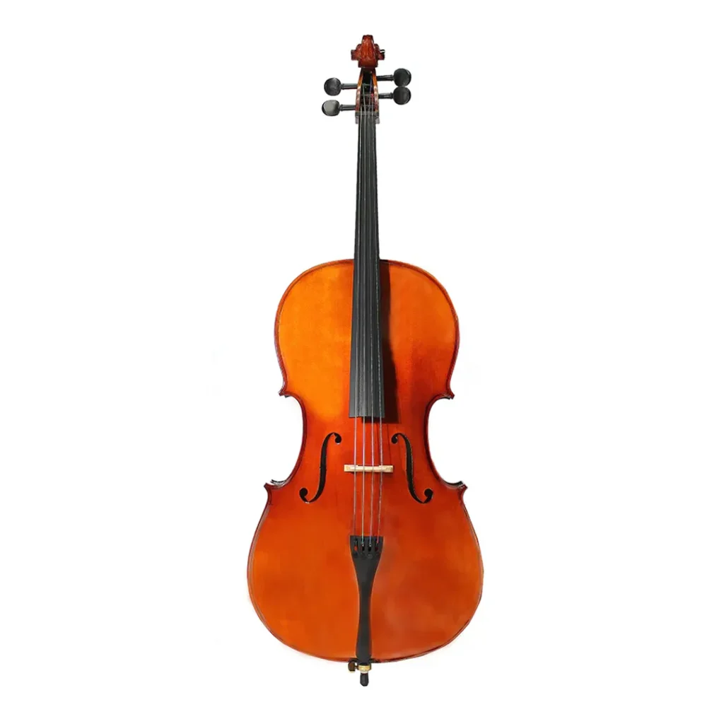 نمای کامل و اصلی ویولنسل تی اف Violin cello TF 142 3.4
