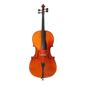نمای کامل و اصلی ویولنسل تی اف Violin cello TF 142 3.4