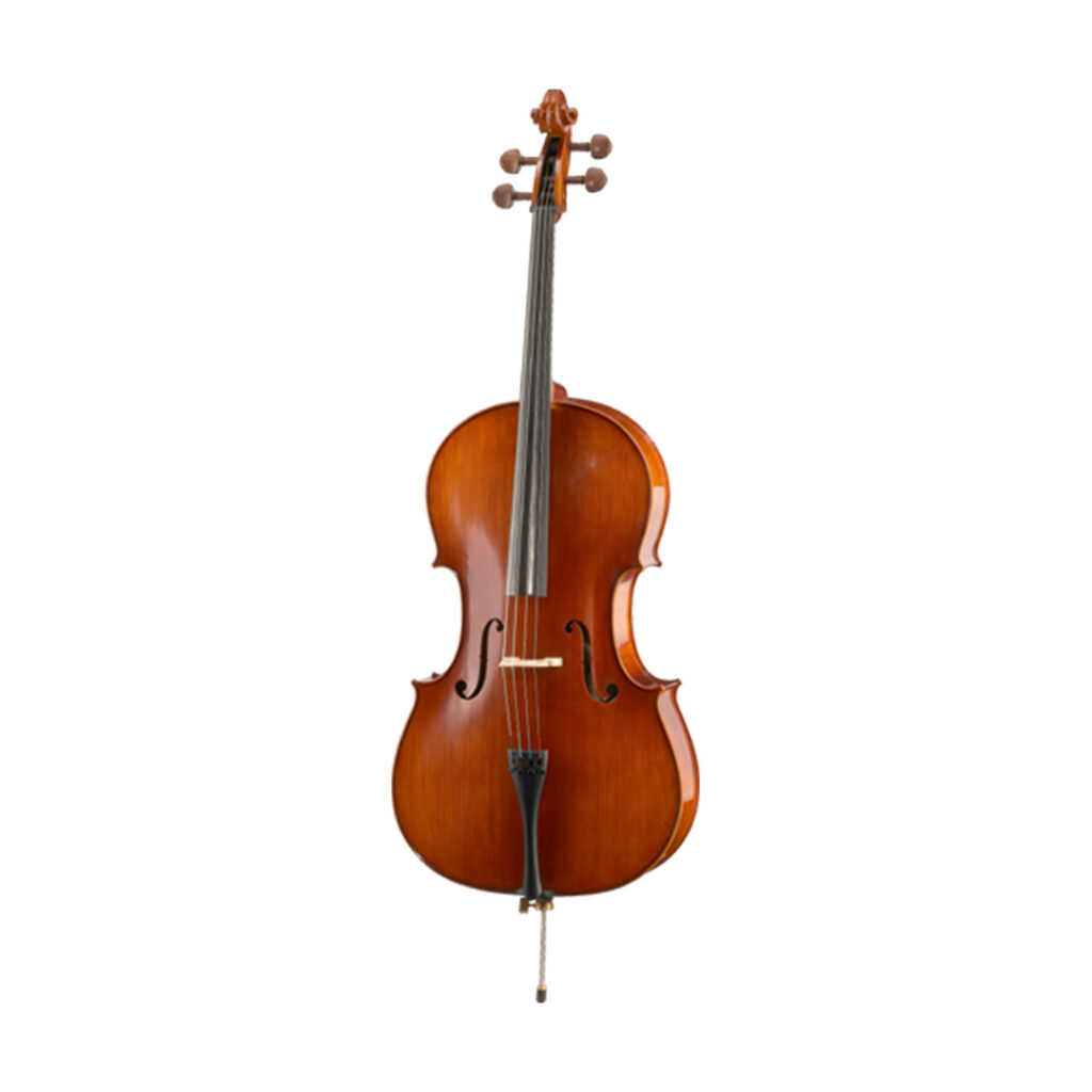 نمای کامل و اصلی ویولنسل هافنر Violin cello Hofner AS-160-C4.4