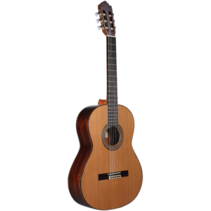Guitar-Altamira-N400Case