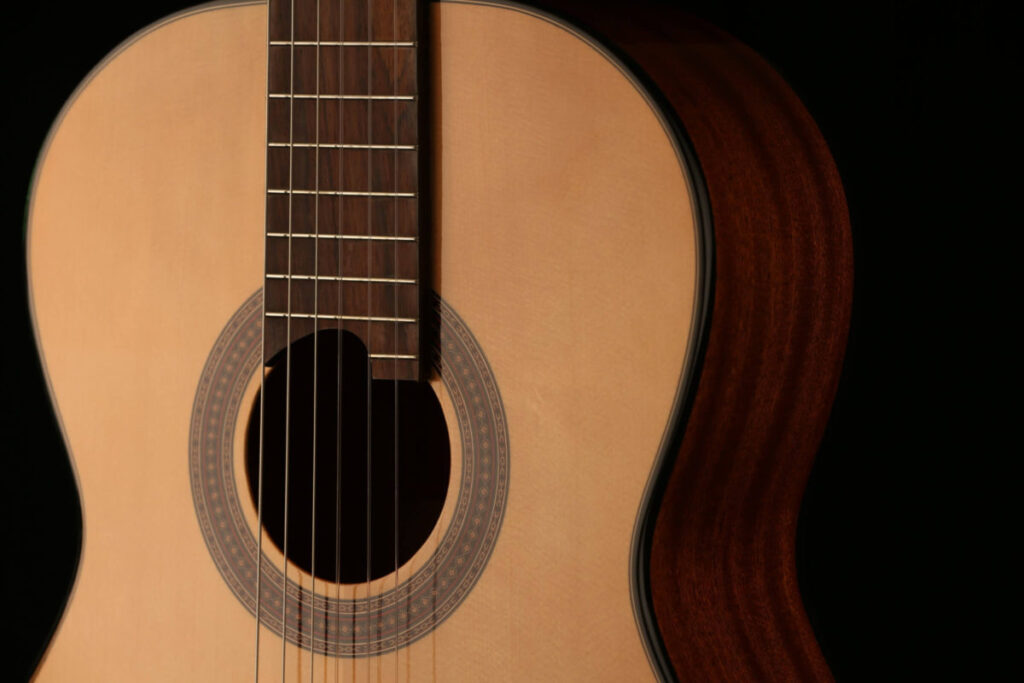 mc48-rosette- گیتار مارتینز Guitar Martinez MC48c