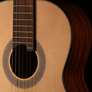 mc48-rosette- گیتار مارتینز Guitar Martinez MC48c
