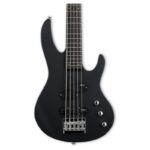 بدنه گیتار بیس Guitar Bass LTD B-15