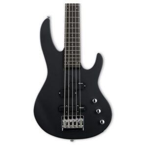 بدنه گیتار بیس Guitar Bass LTD B-15