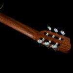 دسته گیتار کلاسیک گودین Guitar Godin Motif