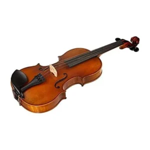 نمای خوابیده ویولن آکوستیک هافنر Violin Hofner AS-060-V1.2