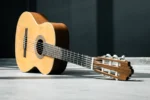 نمای دوراتیو گیتار آلتامیرا Guitar Altamira Basico 4.4