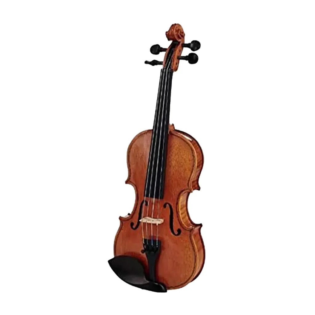 نمای روبرو ویولن آکوستیک هافنر Violin Hofner AS-060-V1.2