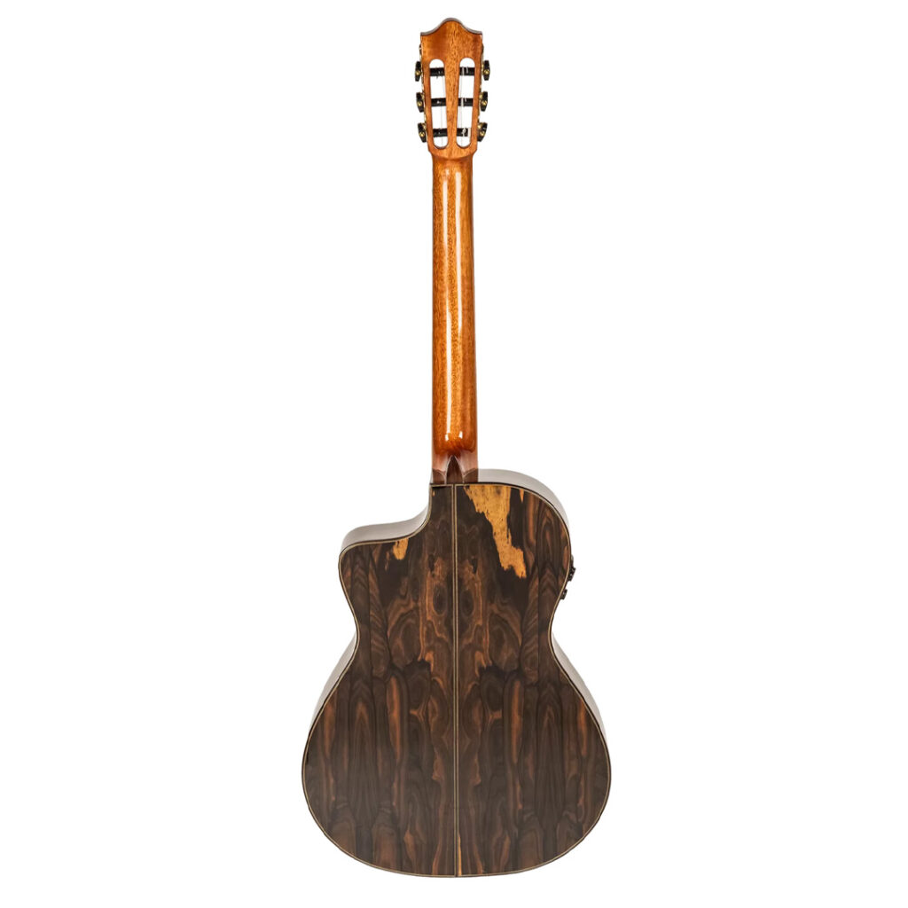 نمای پشت گیتار مارتینز Guitar Martinez MP-14 Ziricote