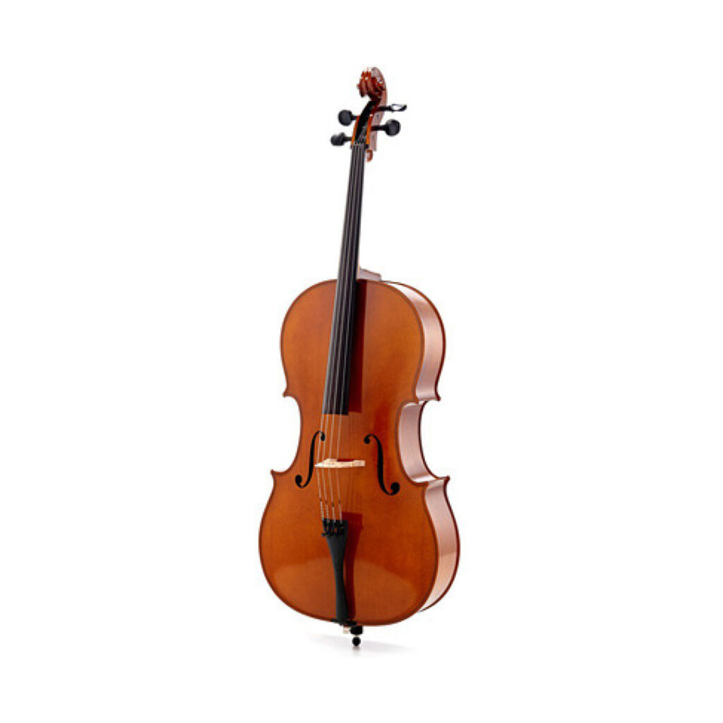 نمای کامل و اصلی ویولنسل هافنر Cello Hofner AS-045-C1.4