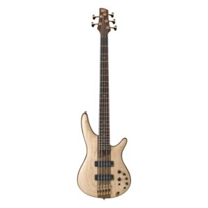 نمای کامل و اصلی گیتار بیس آیبانز Guitar Bass Ibanez SR1305 - NTF