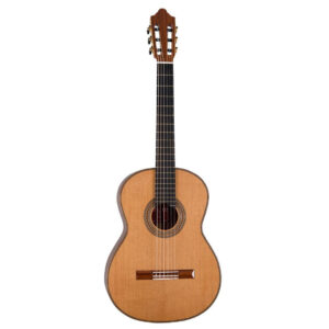 نمای کامل و اصلی گیتار مارتینز Guitar Martinez ES-10C