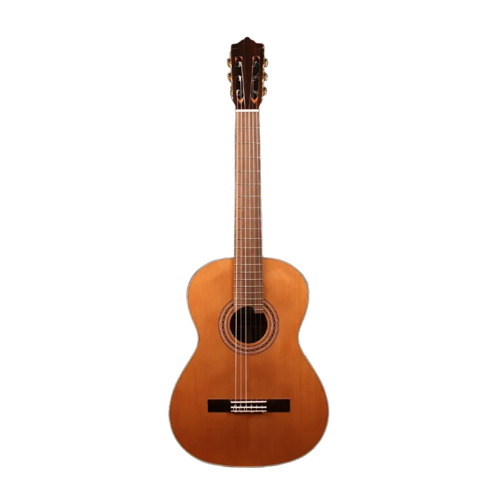 نمای کامل و اصلی گیتار مارتینز Guitar Martinez MC-58C