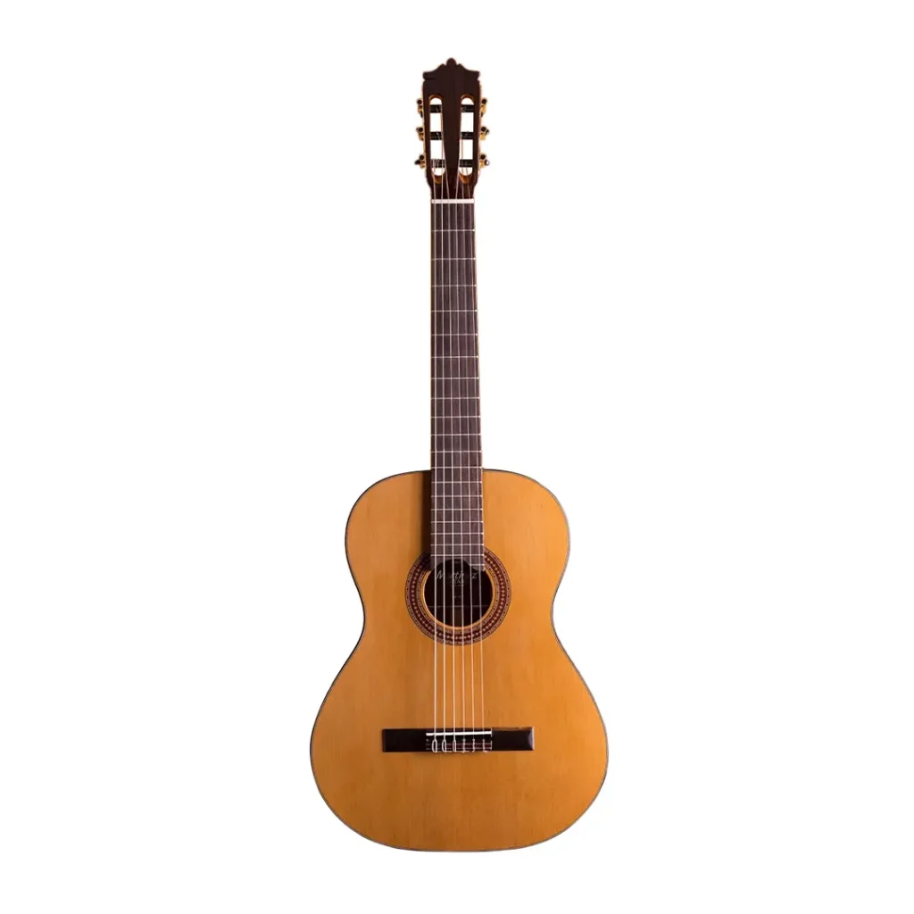 نمای کامل و اصلی گیتار مارتینز Guitar Martinez MC48C