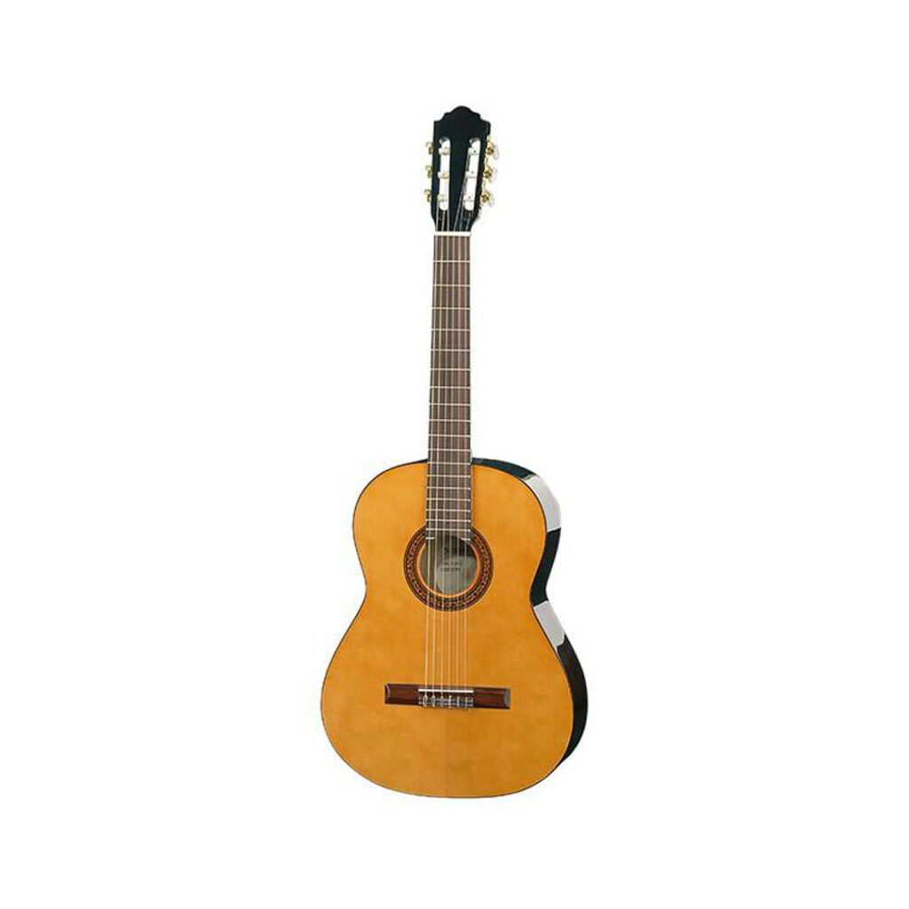 نمای کامل و اصلی گیتار هافنر Guitar Hofner HAC 204 NT
