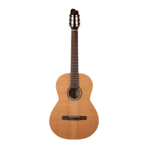 نمای کامل و اصلی گیتار کلاسیک گودین Guitar Godin Etude