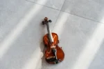 نمای کامل ویولن آکوستیک هافنر Violin Hofner AS-060-V116