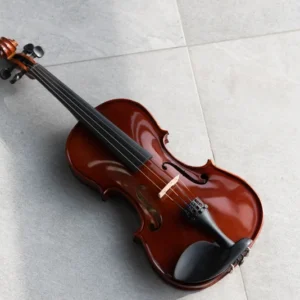 نمای کامل ویولن آکوستیک هافنر Violin Hofner AS-060-V44