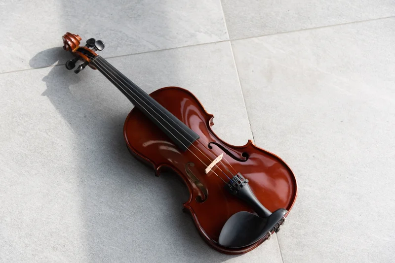 نمای کامل ویولن آکوستیک هافنر Violin Hofner AS-060-V44