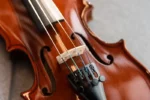 گریف - پل- سوراخ صدا- ویولن آکوستیک هافنر Violin Hofner AS-060-V116