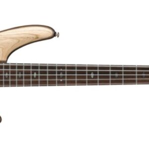 نمای کامل و اصلی گیتار بیس آیبانز Guitar Bass Ibanez SR1305 - NTF
