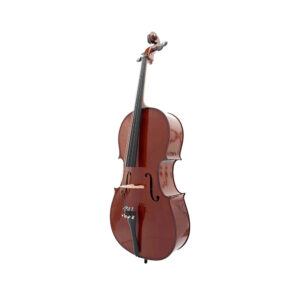 بریج، خرک نمای پشت ویلنسل آماتی 4.4 Cello Amati 1600