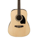 بادی گیتار آکوستیک Acoustic Guitar IBANEZ PF15-NT