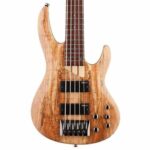 بادی گیتار بیس Guitar Bass ESP LTD B-205 Spalted Maple - Natural Satin