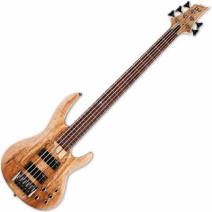 دسته گیتار بیس Guitar Bass ESP LTD B-205 Spalted Maple - Natural Satin