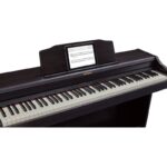 قیمت-Roland-RP-501