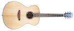 نمای افقی گیتار آکوستیک Breedlove Discovery S Dreadnought Concerto - European Spruce-African Mahogany (DSCO01EUAM)