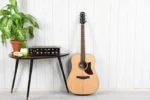 نمای دکوراتیو گیتار آکوستیک Acoustic Guitar IBANEZ AAD100 - OPN