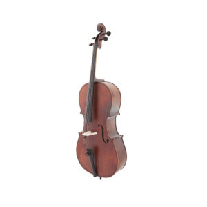 نمای کامل و اصلی ویلنسل آماتی Cello Amati 2000 - 4.4