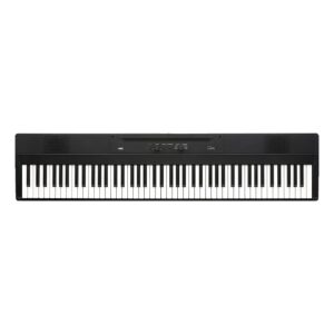 نمای کامل و اصلی پیانو دیجیتال Digital Piano Korg Liano L1