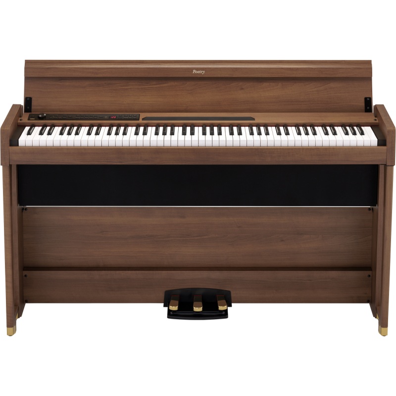 نمای کامل و اصلی پیانو دیجیتال Piano KORG Poetry