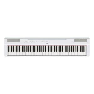 نمای کامل و اصلی پیانو دیجیتال Piano Yamaha P125a