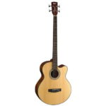 نمای کامل و اصلی گیتار بیس آکوستیک Guitar Acoustic Bass Cort SJB5F WBAG NS