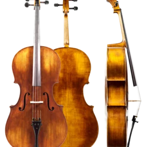 ویلنسل آماتی Cello Amati 2000 - 2.4
