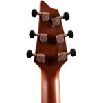گوشی ها بک گیتار آکوستیک Breedlove Pursuit Exotic S Concert Tiger's Eye - Myrtlewood (PSCN42CEMYMY)