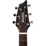 گوشی ها گیتار آکوستیک Breedlove - Pursuit Exotic S Concert Amber CE - Myrtlewood (PSCN49CEMYMY)